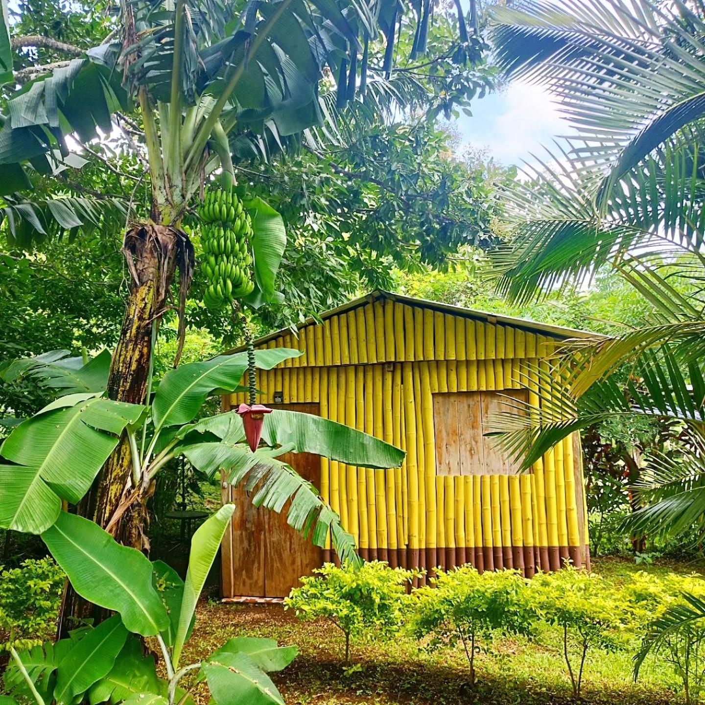 Cabanas Ixaya Катемако Экстерьер фото